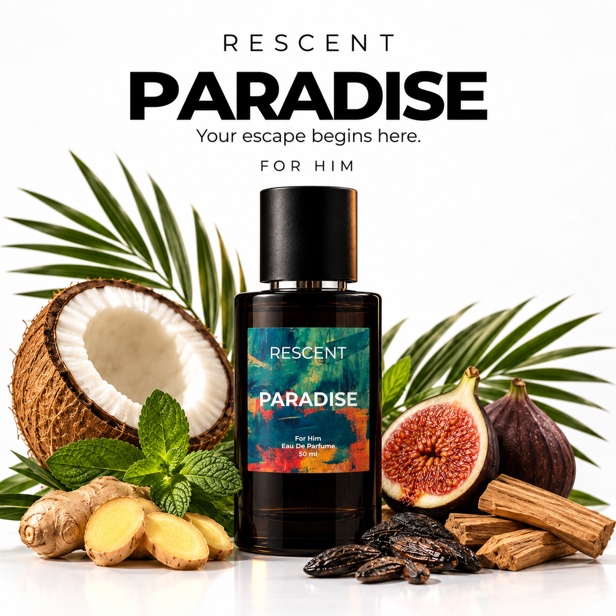 PARADISE